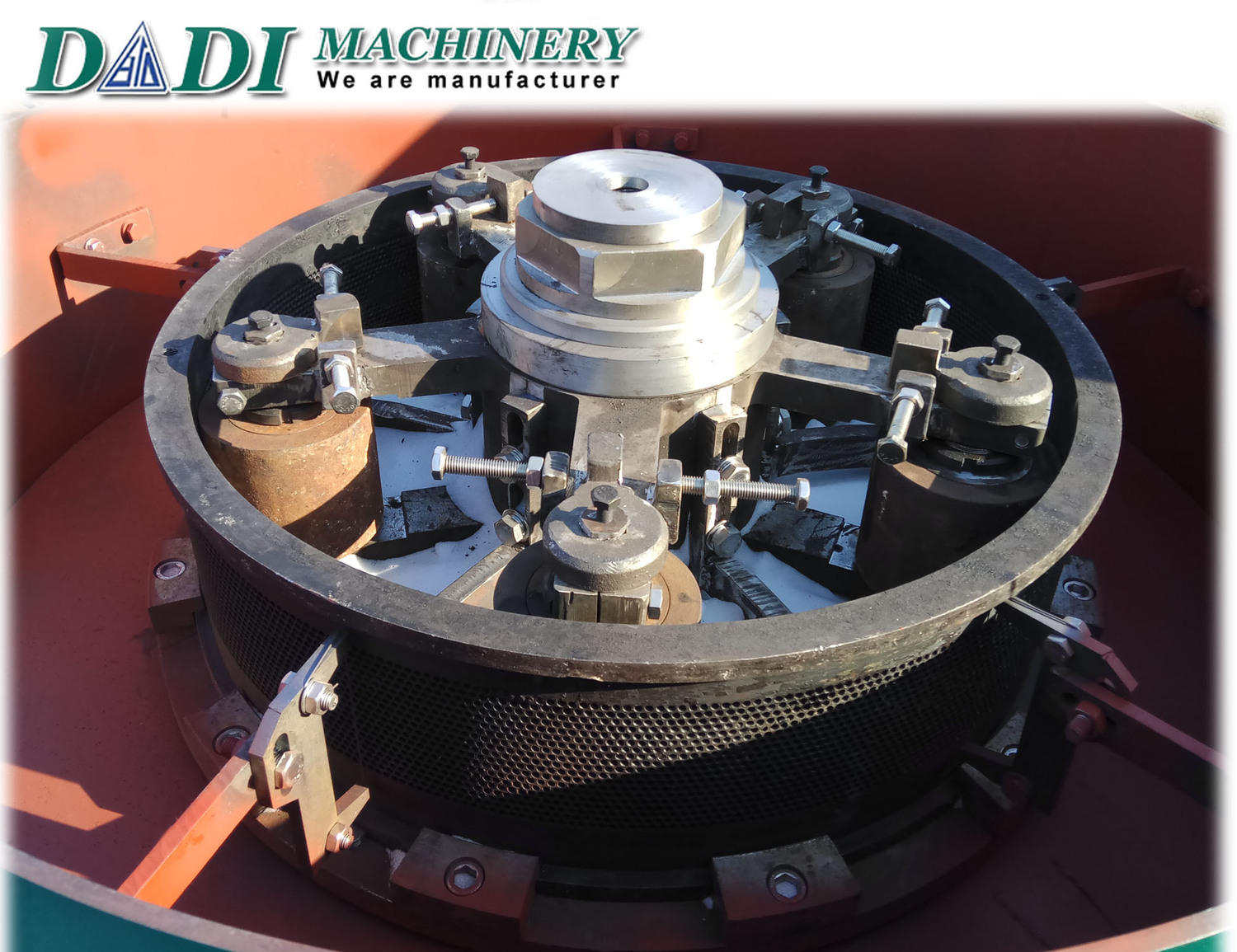 ring die system